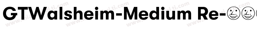 GTWalsheim-Medium Re字体转换